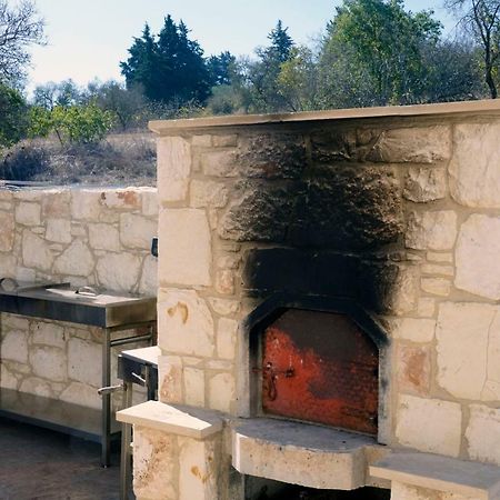 Villa Nikolina Dhrousha エクステリア 写真